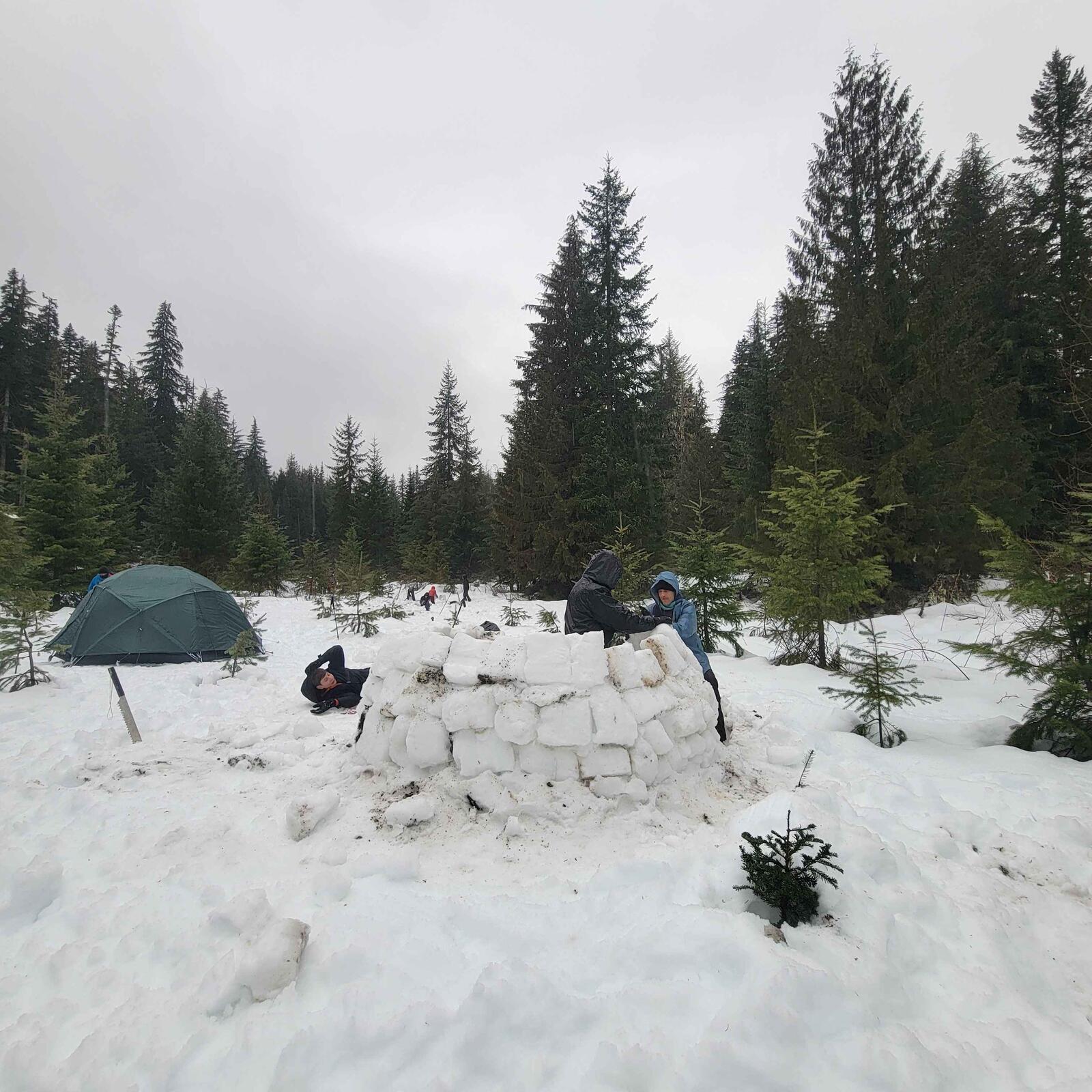 Scouts building a snow igloo in a forest clearing