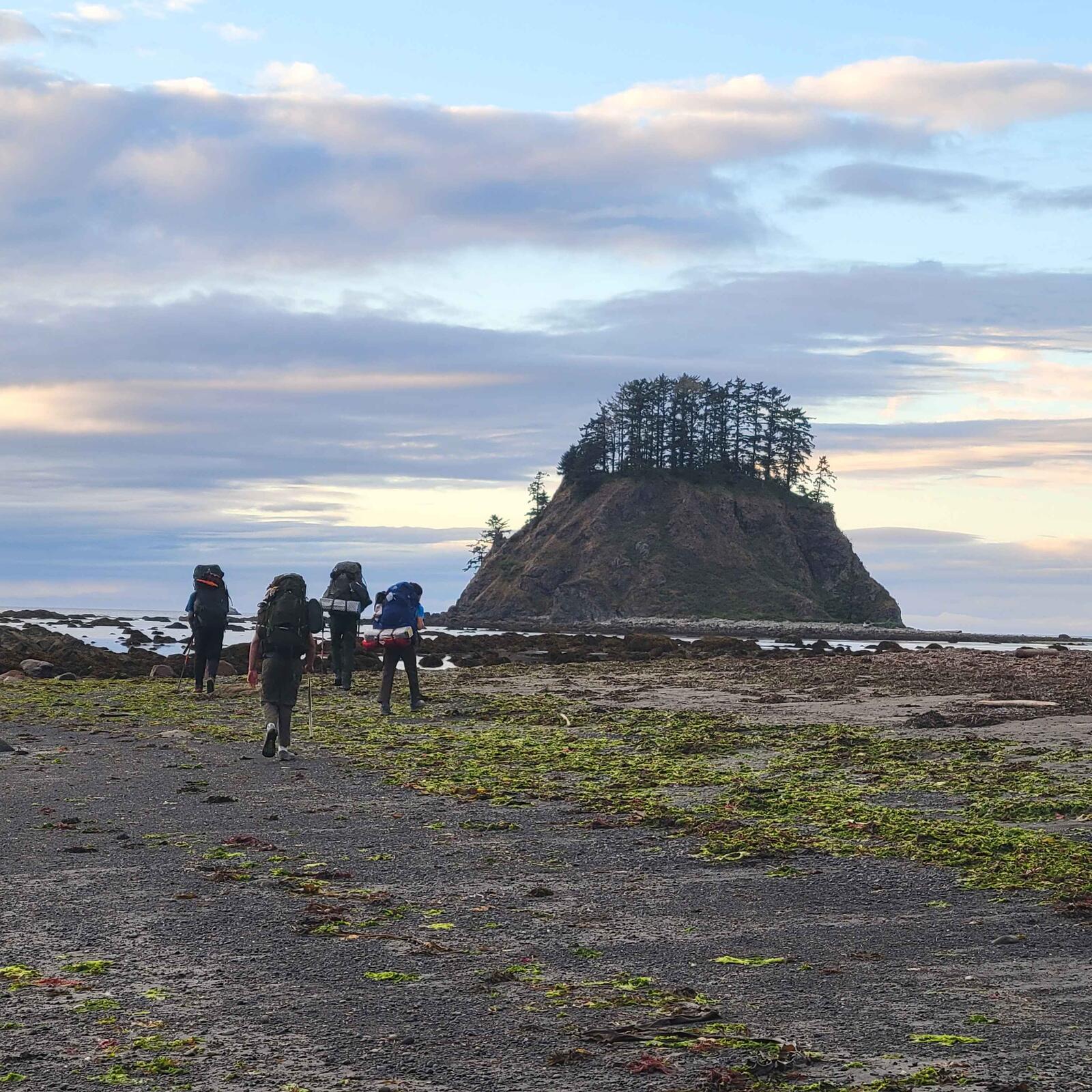 Scouts backpacking along a rocky beach on the Olympic coast, sea stack in the distance
