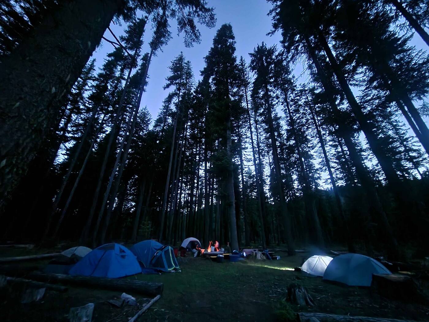Scouts from Troop 572 gathered around a campsite at night